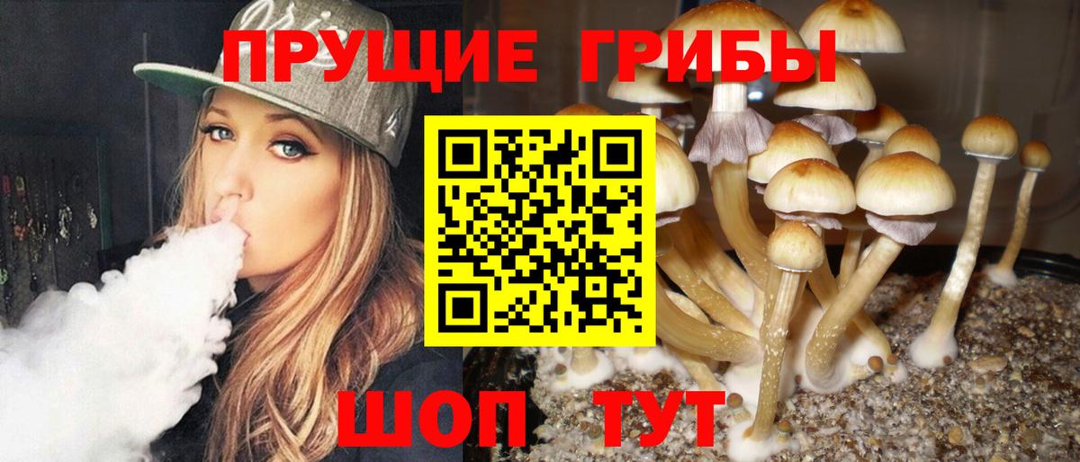 Воркута  Галлюциногенные грибы GOLDEN TEACHER  Вход с VPN 